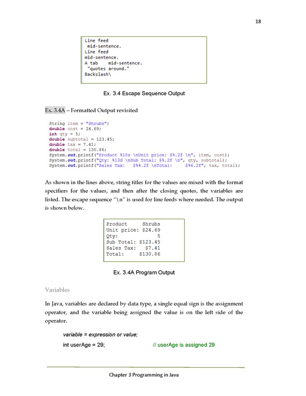 Java Programming: Basics to Advanced Concepts Advanced Programming Workshop - Page 18